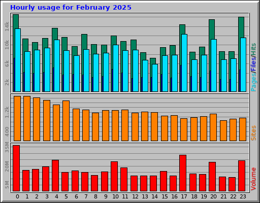 Hourly usage for February 2025